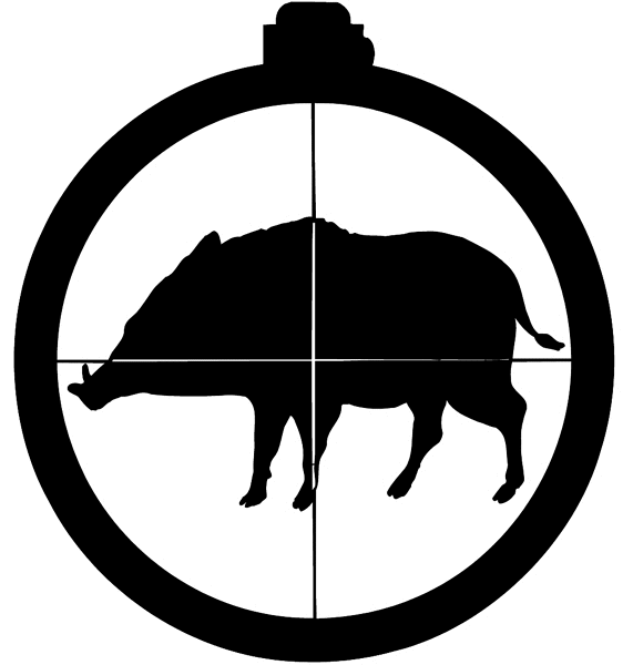 Wild boar in gun sights vinyl sticker. Customize on line. Hunting 054-0094
